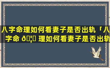 八字命理如何看妻子是否出轨「八字命 🦆 理如何看妻子是否出轨了」